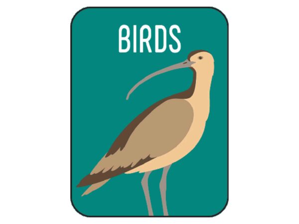 Non-Fiction Classification Labels