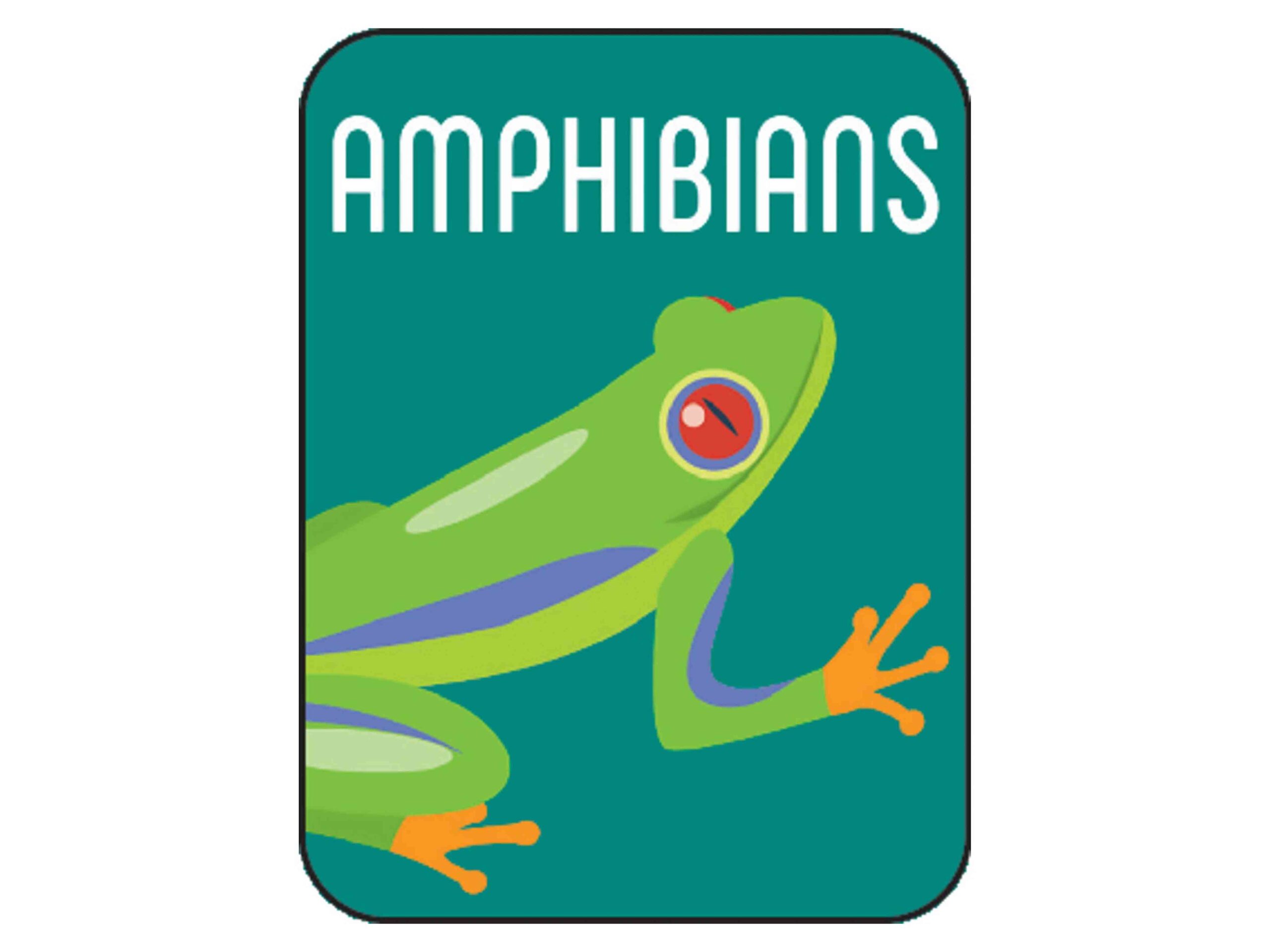 Non-Fiction Classification Labels - Image 2