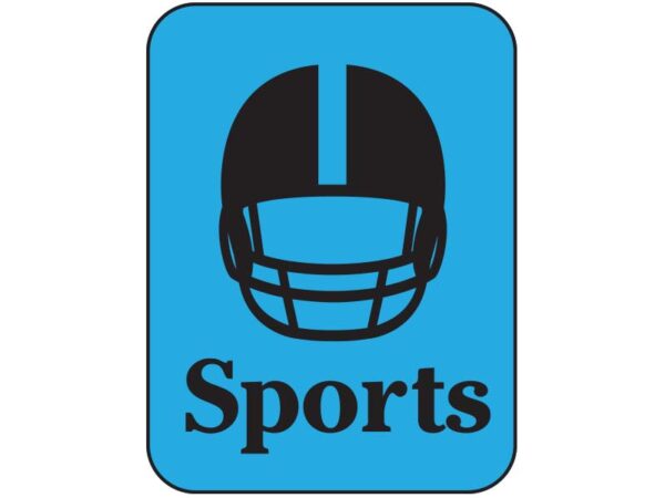 Silhouette Classification Labels