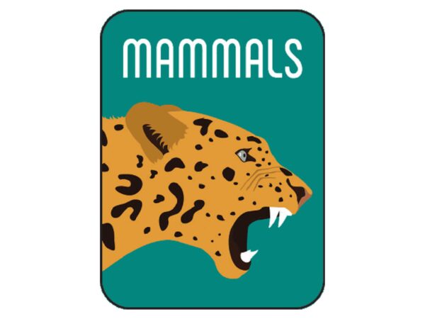 Non-Fiction Classification Labels