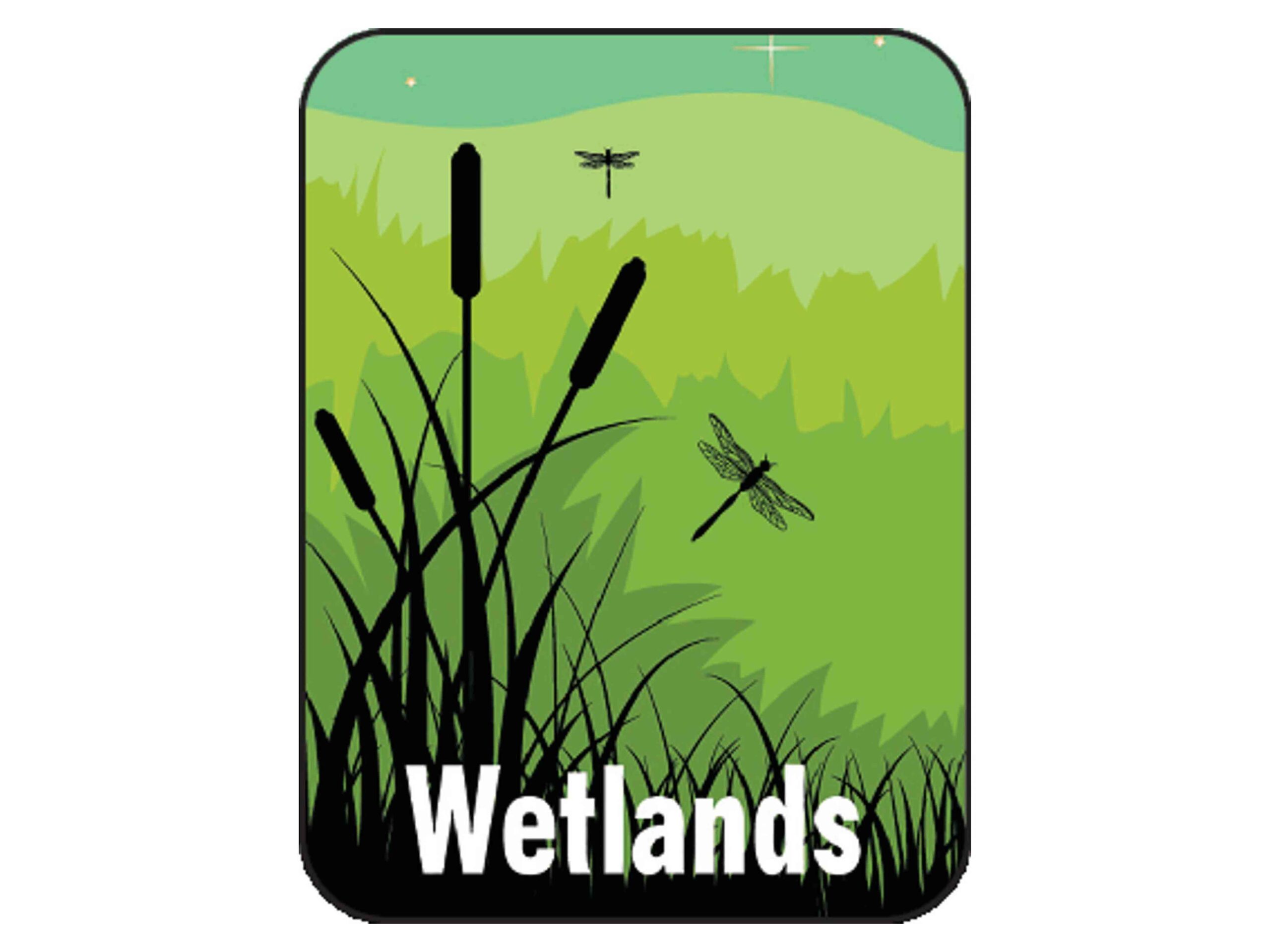 Non-Fiction Classification Labels - Image 35